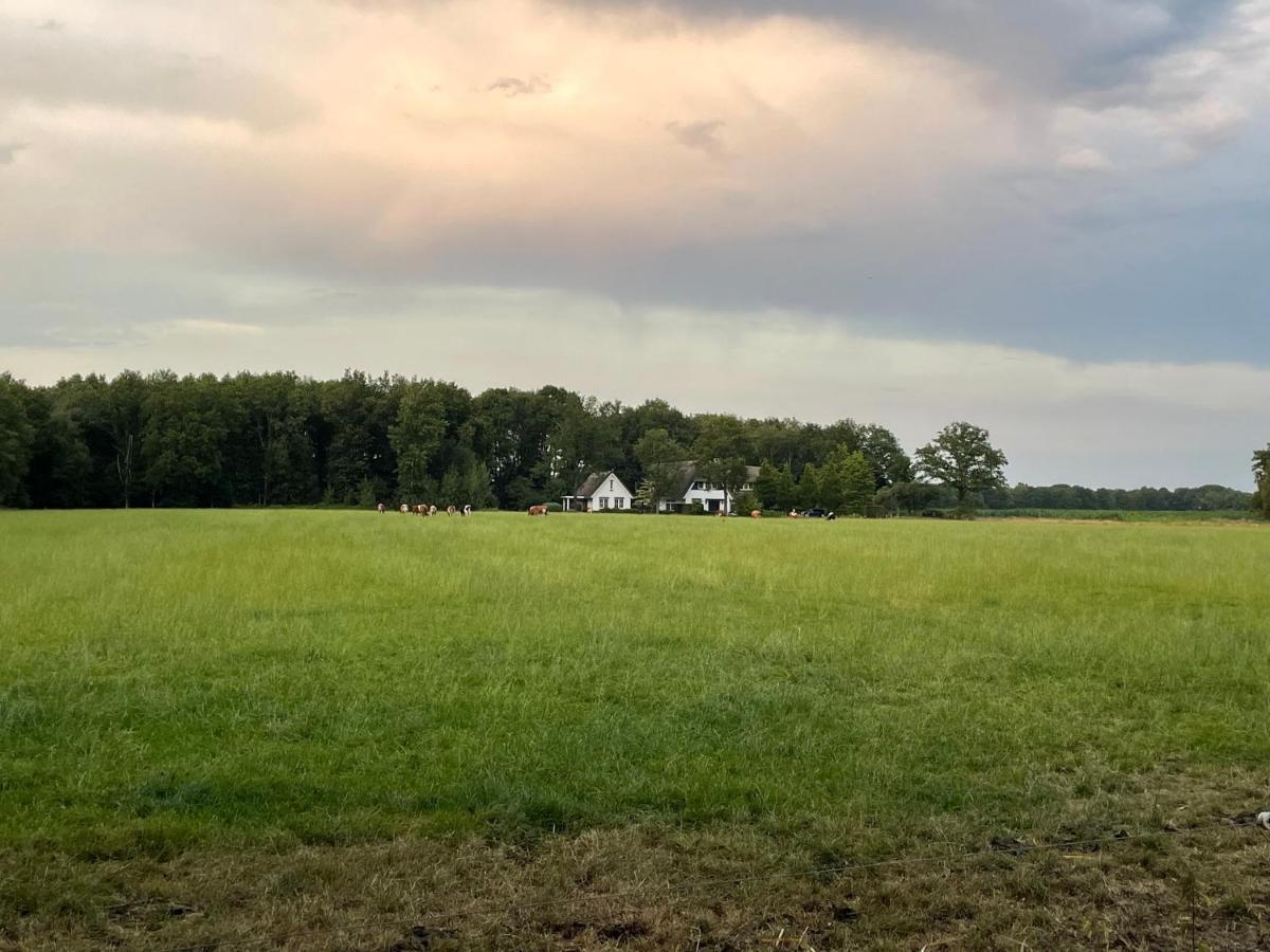 Klein Bosland By Logeren Bij Saar Villa Wijnjewoude Dış mekan fotoğraf