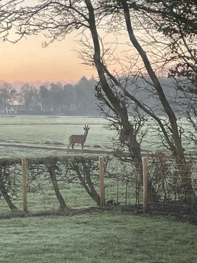 Klein Bosland By Logeren Bij Saar Villa Wijnjewoude Dış mekan fotoğraf