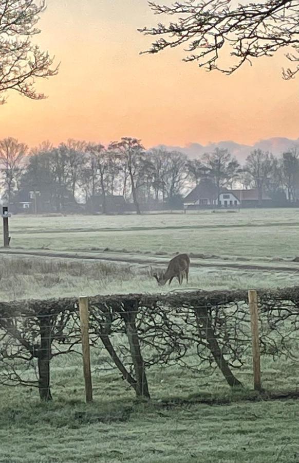 Klein Bosland By Logeren Bij Saar Villa Wijnjewoude Dış mekan fotoğraf
